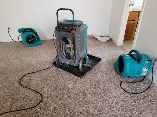 Best Residential water damage restoration  in Bradley Gardens, NJ