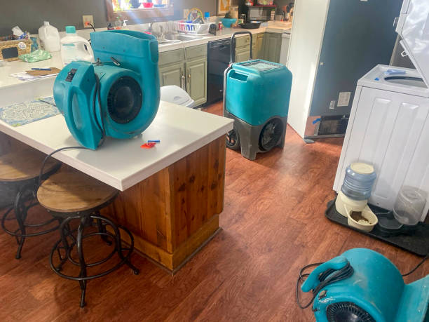 Best Carpet water damage restoration  in Bradley Gardens, NJ