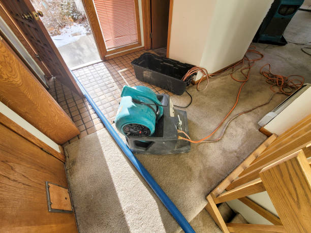 Best Ceiling water damage repair  in Bradley Gardens, NJ