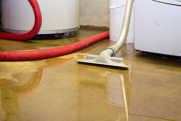 Best Commercial water damage restoration  in Bradley Gardens, NJ
