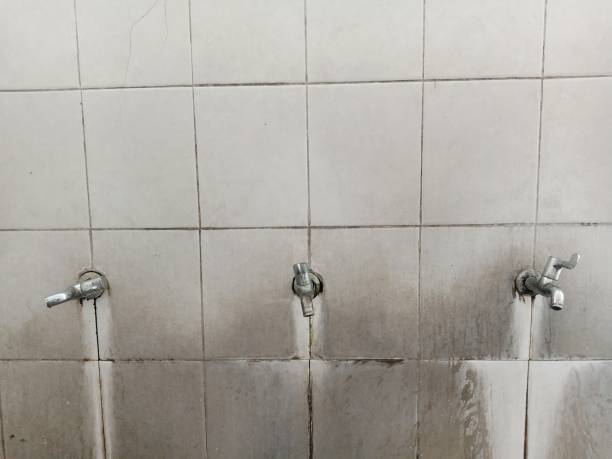 Best 24-hour water damage restoration  in Bradley Gardens, NJ