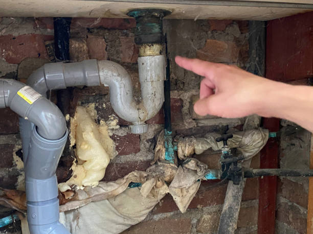Best Flood restoration services  in Bradley Gardens, NJ