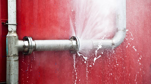 Best Water damage contractors near me  in Bradley Gardens, NJ